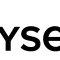 NYSE Logo